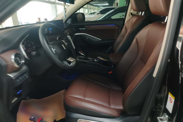 Used Wey VV6 2020 2.0T Two-Wheel Drive Zhiyue+ Left Front Seat