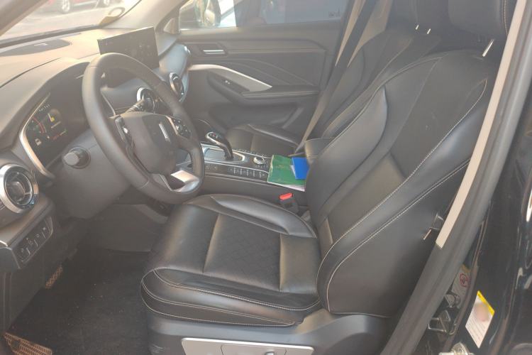 Used Wey VV6 2020 2.0T Two-Wheel Drive Smart Protection+ Left Front Seat