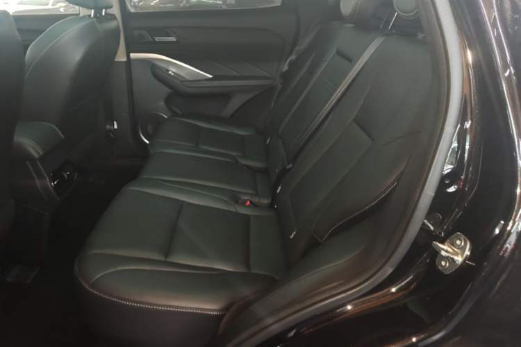Used Wey VV6 2020 2.0T Two-Wheel Drive Smart Protection+ Left Rear Seat