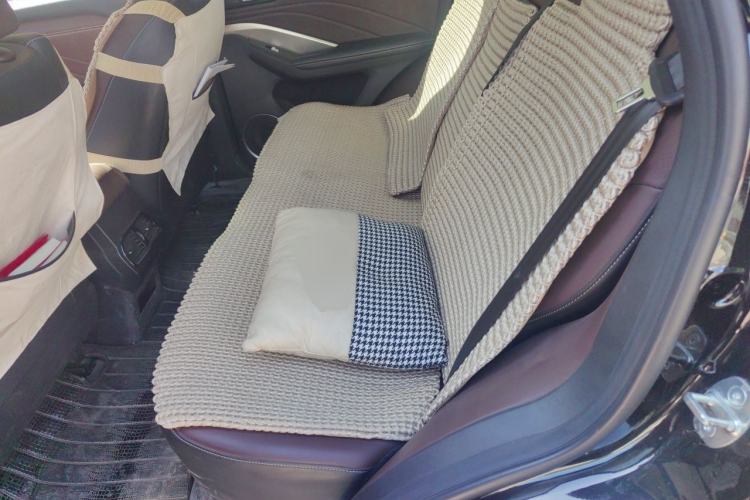 Used Wey VV6 2020 2.0T Two-Wheel Drive Smart Protection+ Left Rear Seat