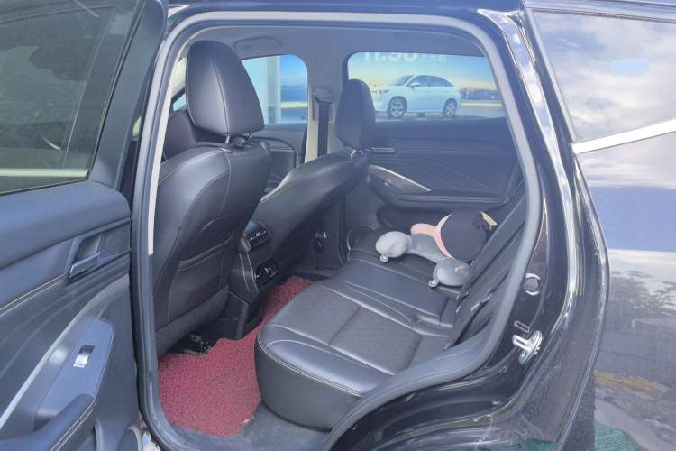 Used Wey VV6 2020 2.0T Two-Wheel Drive Smart Enjoyment+ Left Rear Seat