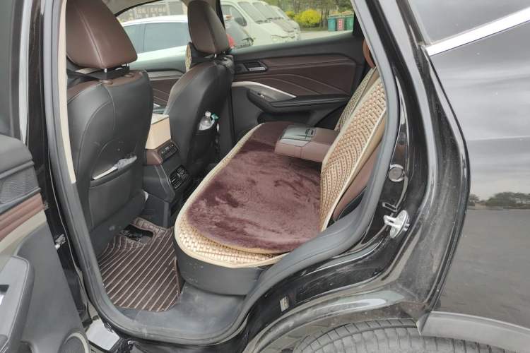 Used Wey VV6 2020 2.0T Two-Wheel Drive Collie SmartDrive+ Left Rear Seat