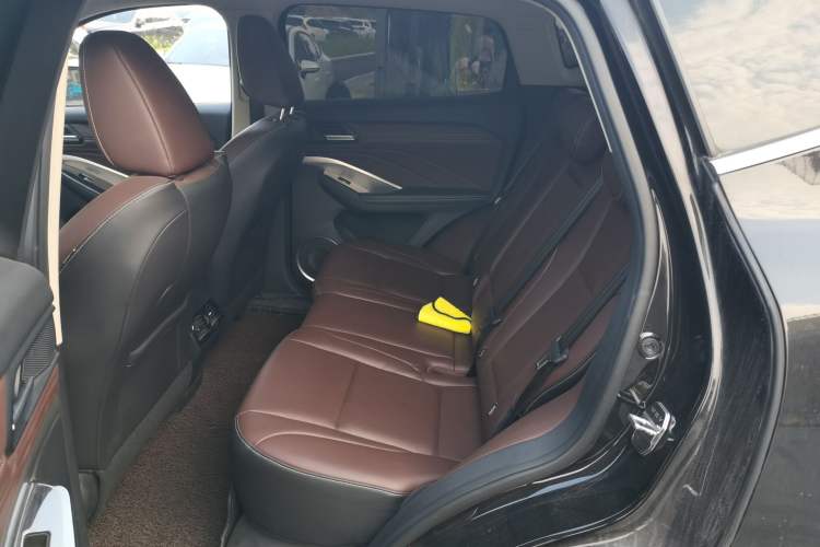 Used Wey VV6 2020 2.0T Two-Wheel Drive Smart Protection+ Left Rear Seat