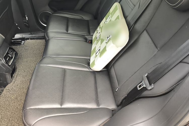 Used Wey VV6 2020 2.0T Two-Wheel Drive Smart Protection+ Left Rear Seat
