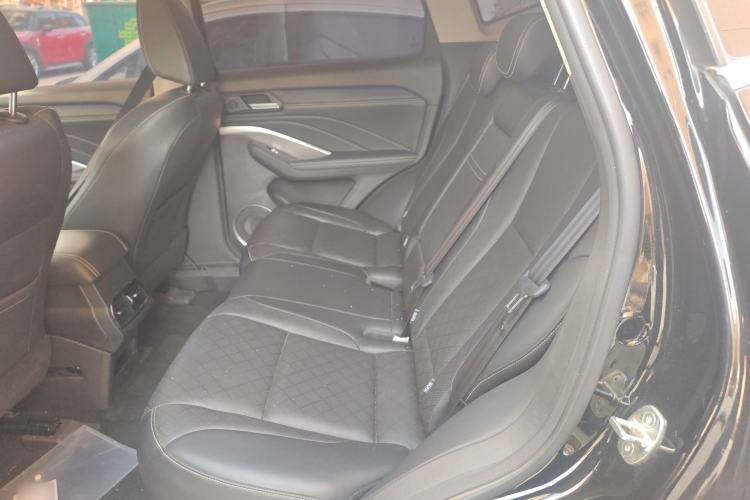 Used Wey VV6 2020 2.0T Two-Wheel Drive Smart Protection+ Left Rear Seat