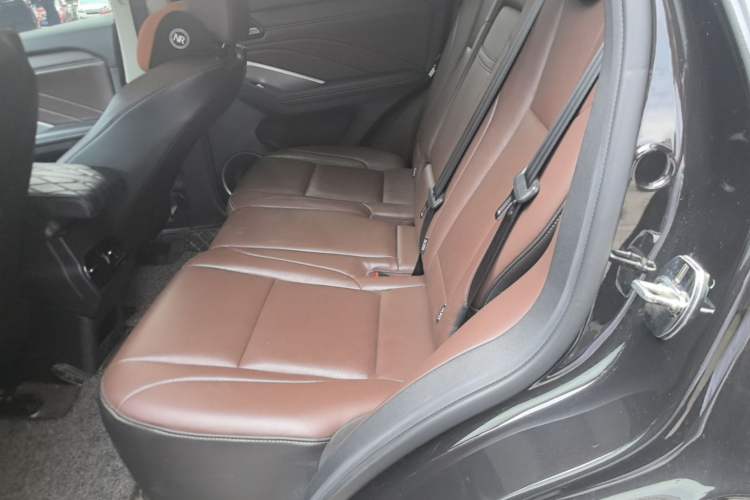 Used Wey VV6 2020 2.0T Two-Wheel Drive Smart Protection+ Left Rear Seat