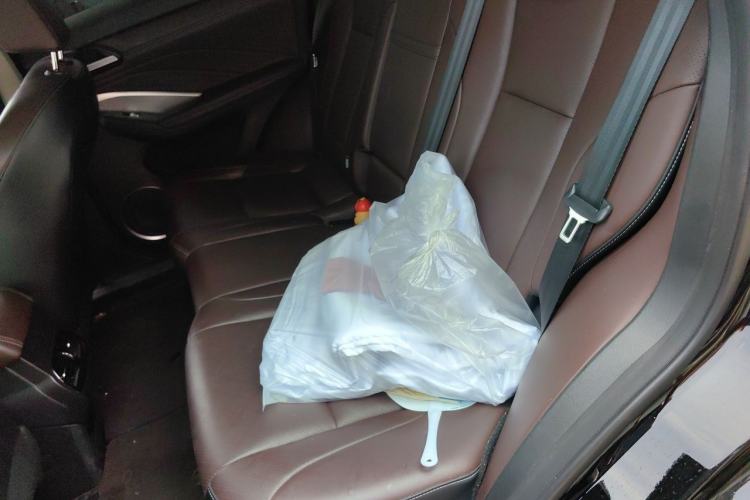 Used Wey VV6 2020 2.0T Two-Wheel Drive Smart Protection+ Left Rear Seat