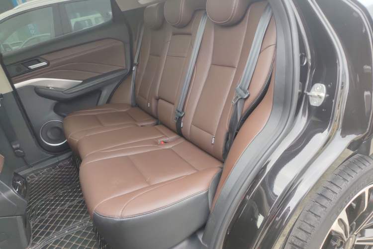 Used Wey VV6 2020 2.0T Two-Wheel Drive Smart Protection+ Left Rear Seat