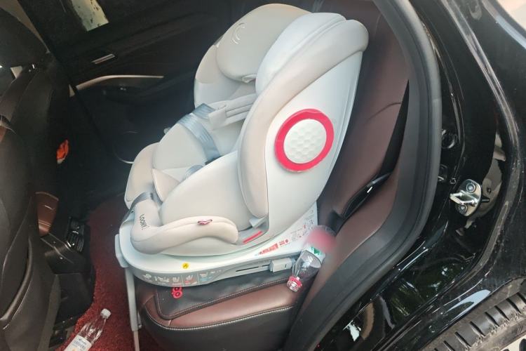 Used Wey VV6 2020 2.0T Two-Wheel Drive Smart Protection+ Left Rear Seat