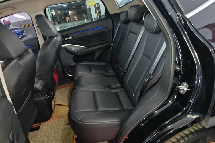 Used Wey VV6 2020 2.0T Two-Wheel Drive Collie SmartDrive+ Left Rear Seat