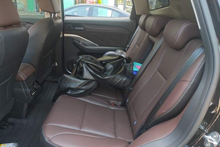 Used Wey VV6 2020 2.0T Two-Wheel Drive Smart Protection+ Left Rear Seat