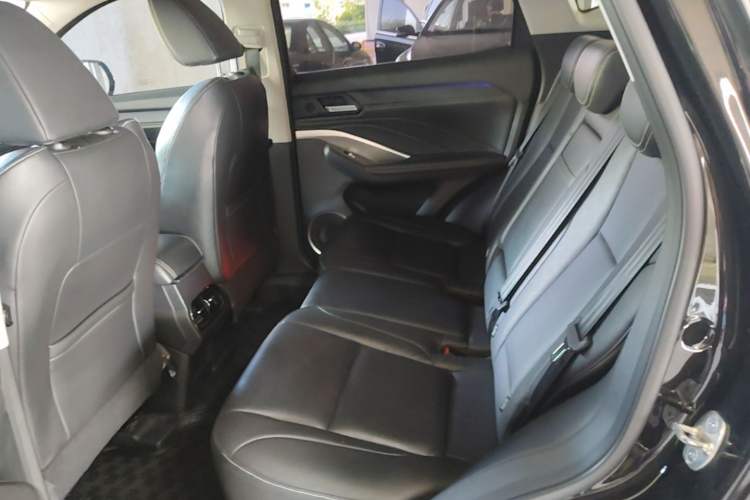 Used Wey VV6 2020 2.0T Two-Wheel Drive Smart Protection+ Left Rear Seat
