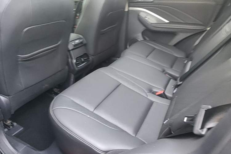 Used Wey VV6 2020 2.0T Two-Wheel Drive Smart Enjoyment+ Left Rear Seat