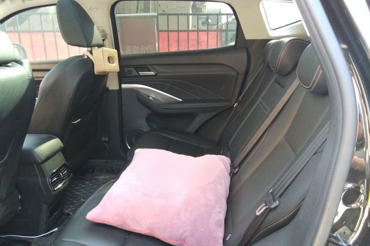 Used Wey VV6 2020 2.0T Two-Wheel Drive Smart Protection+ Left Rear Seat