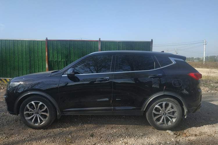 Used Wey VV6 2020 2.0T Four-Wheel Drive Zhiyu+ Left Side