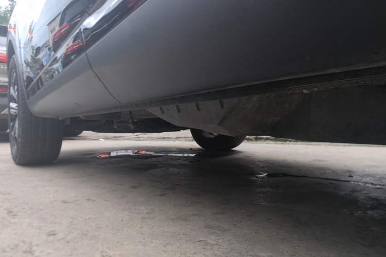 Used Wey VV6 2020 2.0T Two-Wheel Drive Smart Protection+ Left Side Sill