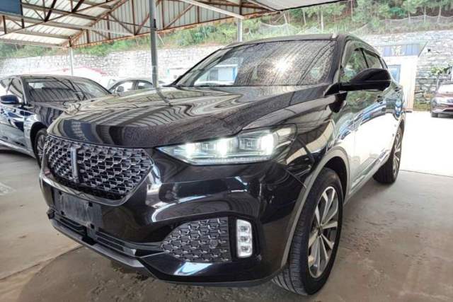 Used Wey VV6 2020 2.0T Two-Wheel Drive Smart Protection+