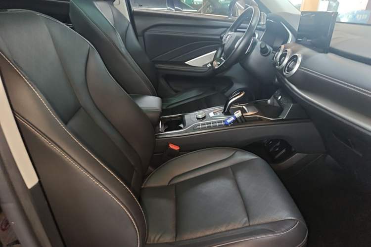 Used Wey VV6 2020 2.0T Two-Wheel Drive Smart Protection+ Right Front Seat