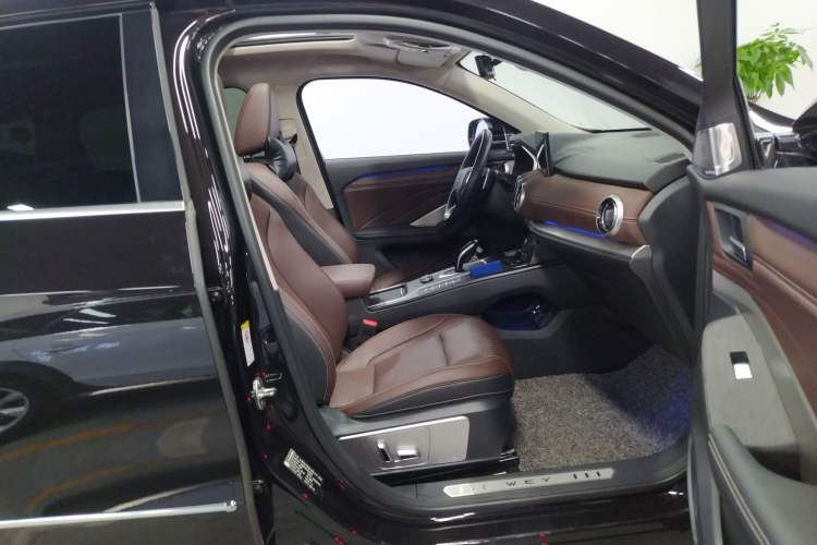 Used Wey VV6 2020 2.0T Two-Wheel Drive Smart Protection+ Right Front Seat