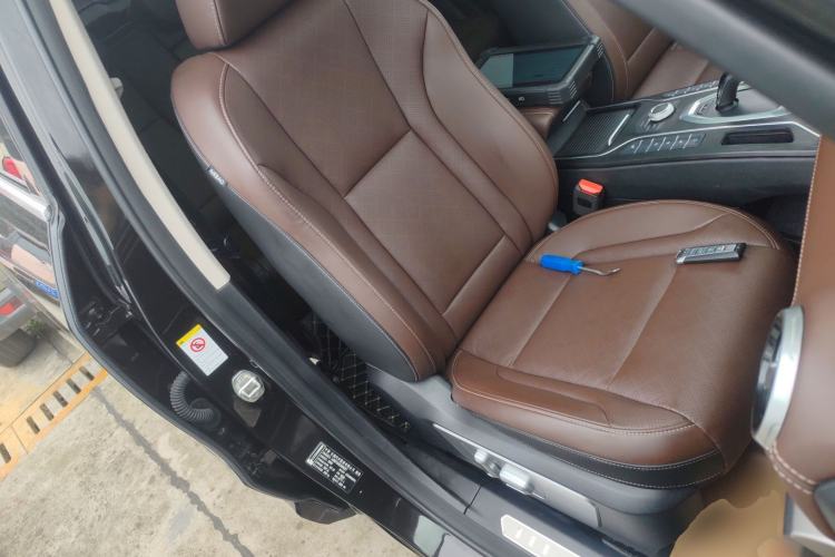 Used Wey VV6 2020 2.0T Two-Wheel Drive Smart Protection+ Right Front Seat
