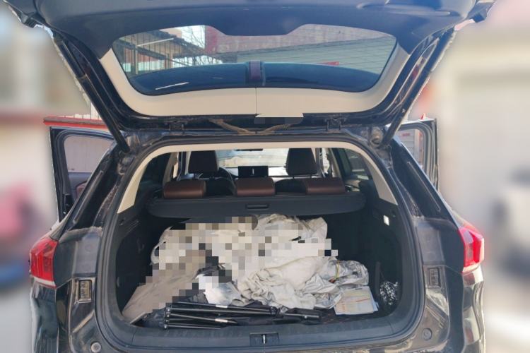 Used Wey VV6 2020 2.0T Two-Wheel Drive Smart Protection+