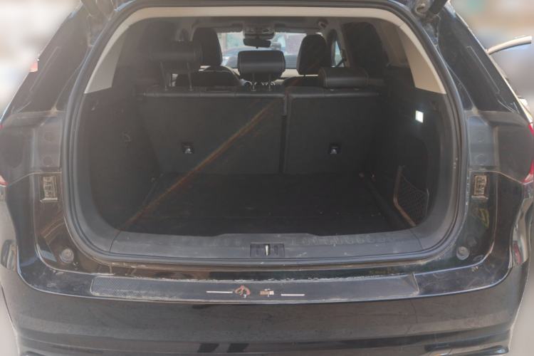Used Wey VV6 2020 2.0T Two-Wheel Drive Smart Protection+ Trunk