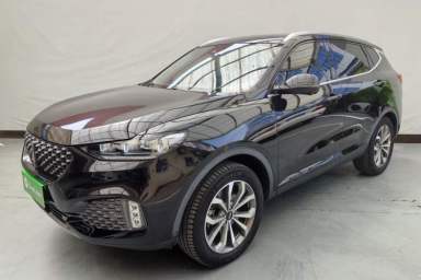 Used Wey VV6 2020 2.0T Two-Wheel Drive Smart Protection+