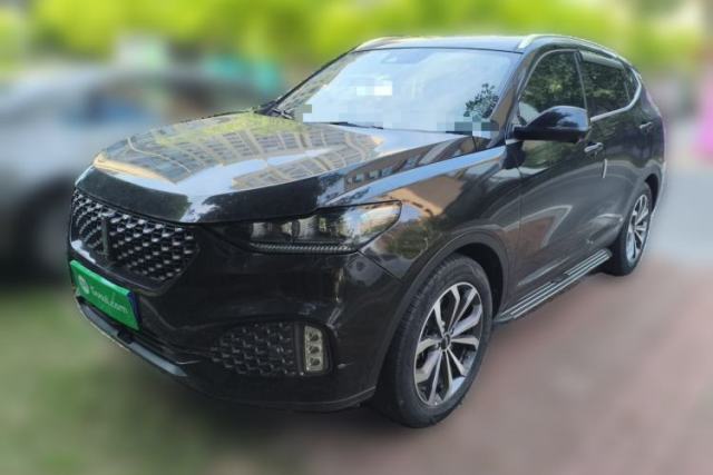 Used Wey VV6 2020 2.0T Two-Wheel Drive Smart Protection+