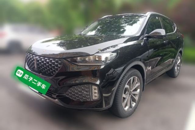 Used Wey VV6 2020 2.0T Two-Wheel Drive Smart Protection+