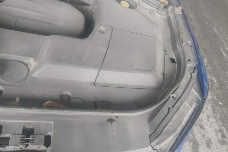 Used Wey VV6 2020 2.0T Two-Wheel Drive Smart Protection+ Engine Bay Left