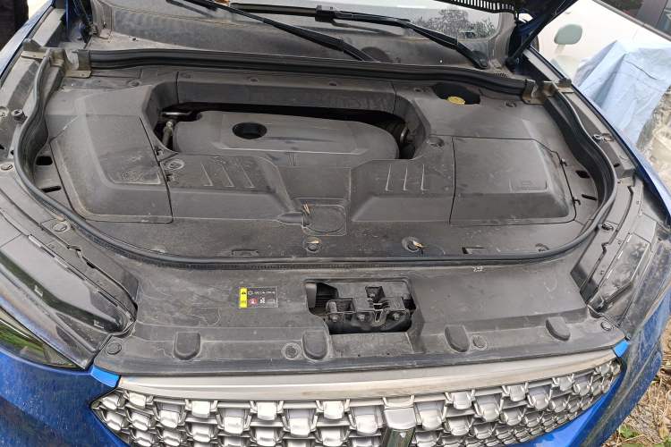Used Wey VV6 2020 2.0T Two-Wheel Drive Smart Protection+ Engine Bay