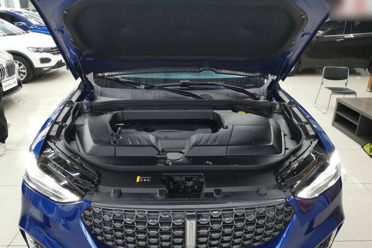Used Wey VV6 2020 2.0T Two-Wheel Drive Smart Protection+ Engine Bay
