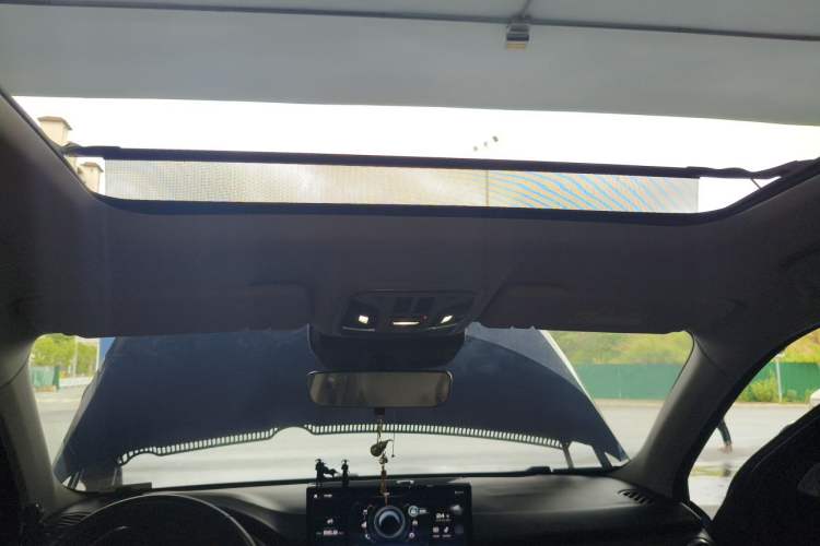 Used Wey VV6 2020 2.0T Two-Wheel Drive Smart Protection+ Headliner