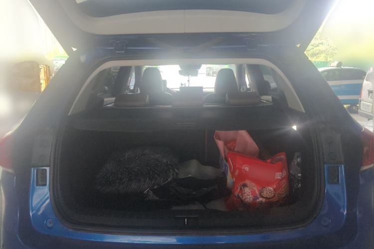 Used Wey VV6 2020 2.0T Two-Wheel Drive Smart Protection+ Trunk