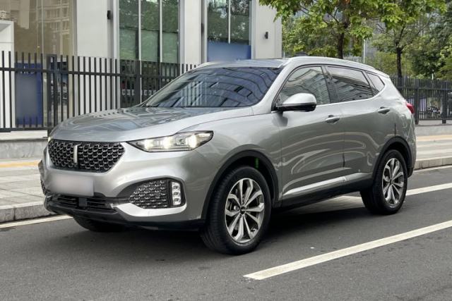 Wey VV6 2020 2.0T Two-Wheel Drive Smart Enjoyment+ usata