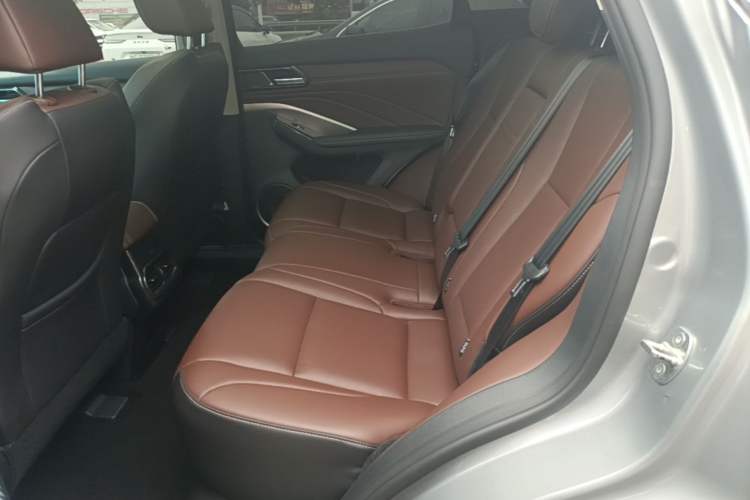 Used Wey VV6 2020 2.0T Two-Wheel Drive Smart Enjoyment+ Left Rear Seat