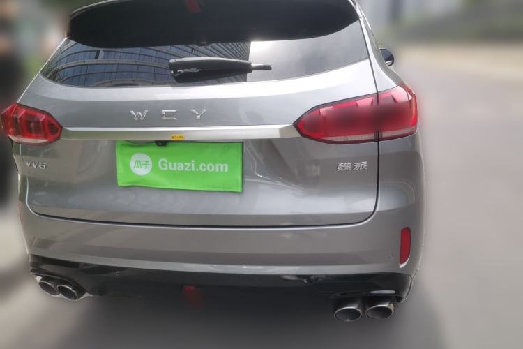 Used Wey VV6 2020 2.0T Two-Wheel Drive Smart Protection+ Rear