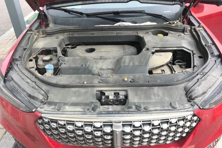 Used Wey VV6 2020 2.0T Two-Wheel Drive Smart Protection+ Engine Bay