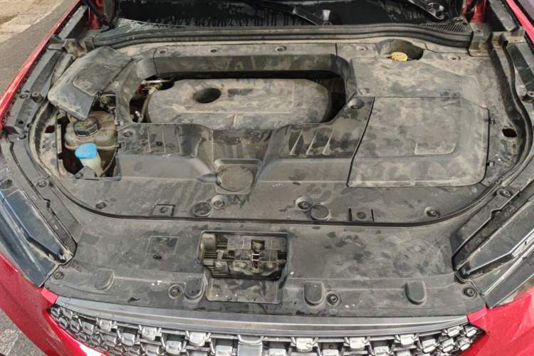Used Wey VV6 2020 2.0T Two-Wheel Drive Smart Enjoyment+ Engine Bay