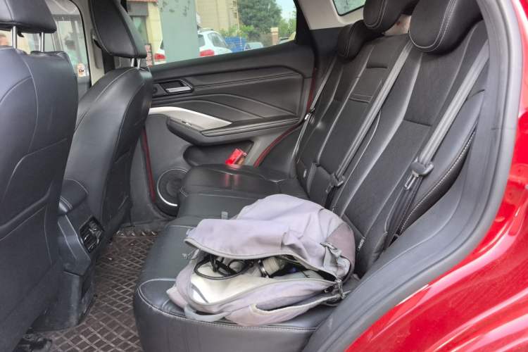 Used Wey VV6 2020 2.0T Two-Wheel Drive Smart Protection+ Left Rear Seat