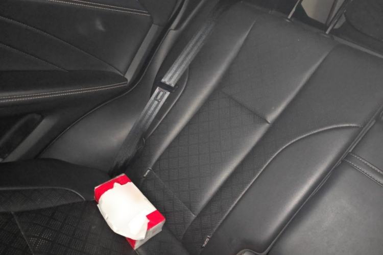 Used Wey VV6 2020 2.0T Two-Wheel Drive Smart Enjoyment+ Left Rear Seat