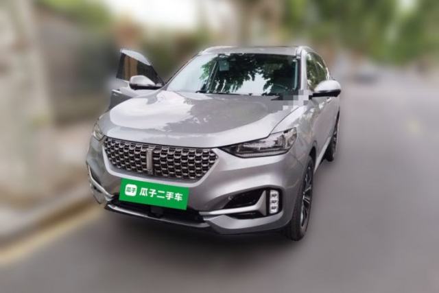 Wey VV6 2020 2.0T Two-Wheel Drive Smart Protection+ usado