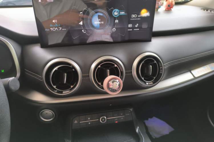 Used Wey VV6 2020 2.0T Two-Wheel Drive Collie SmartDrive+ Audio And AC Panel