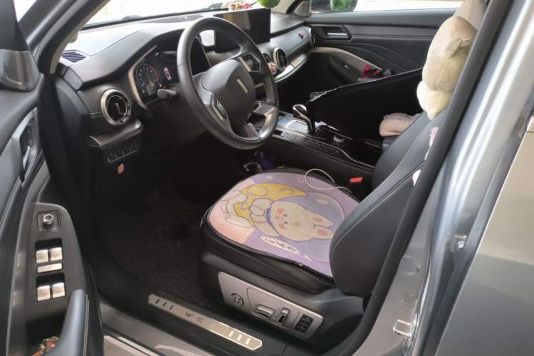 Used Wey VV6 2020 2.0T Two-Wheel Drive Collie SmartDrive+ Driver Seat