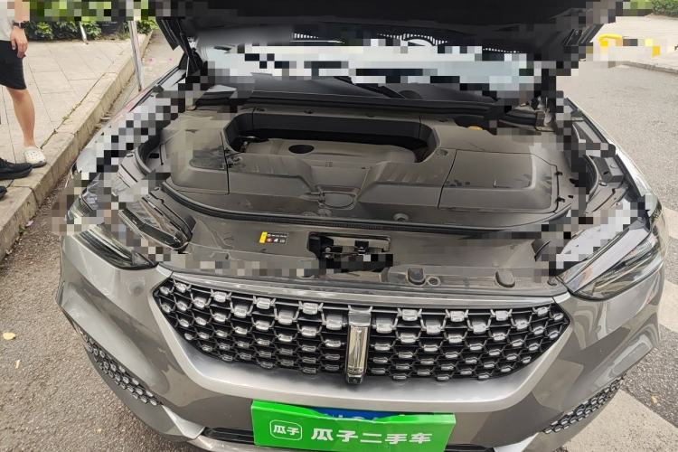 Used Wey VV6 2020 2.0T Two-Wheel Drive Smart Protection+ Engine Bay
