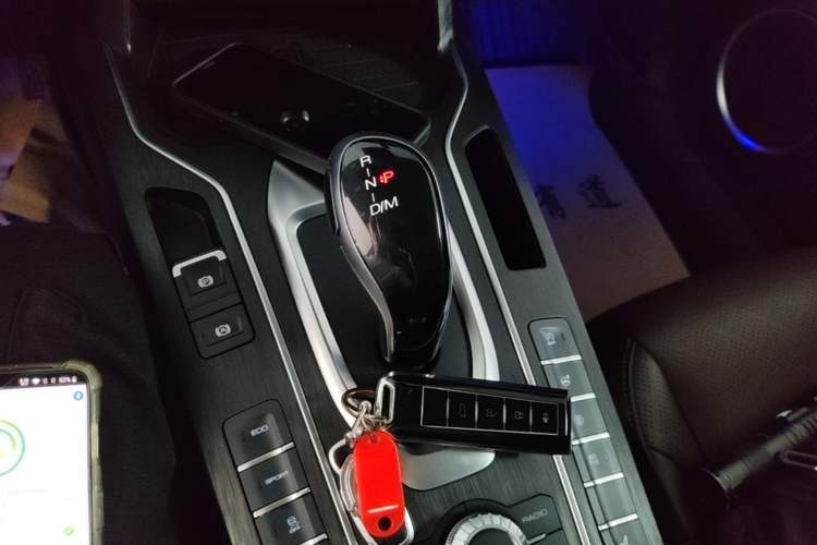 Used Wey VV6 2020 2.0T Two-Wheel Drive Smart Protection+ Gear Lever