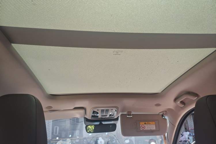 Used Wey VV6 2020 2.0T Four-Wheel Drive Zhiyu+ Headliner