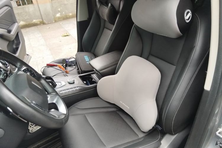 Used Wey VV6 2020 2.0T Two-Wheel Drive Smart Protection+ Left Front Seat