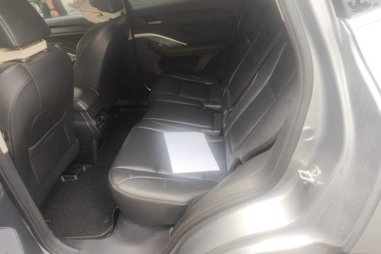Used Wey VV6 2020 2.0T Two-Wheel Drive Smart Protection+ Left Rear Seat