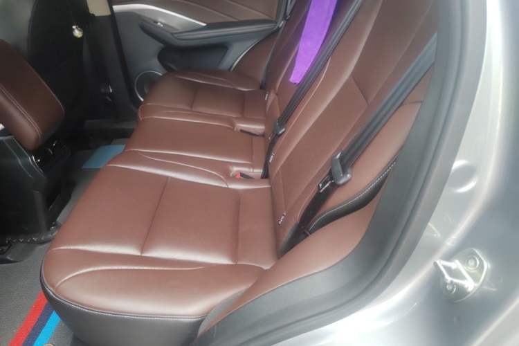 Used Wey VV6 2020 2.0T Two-Wheel Drive Smart Protection+ Left Rear Seat